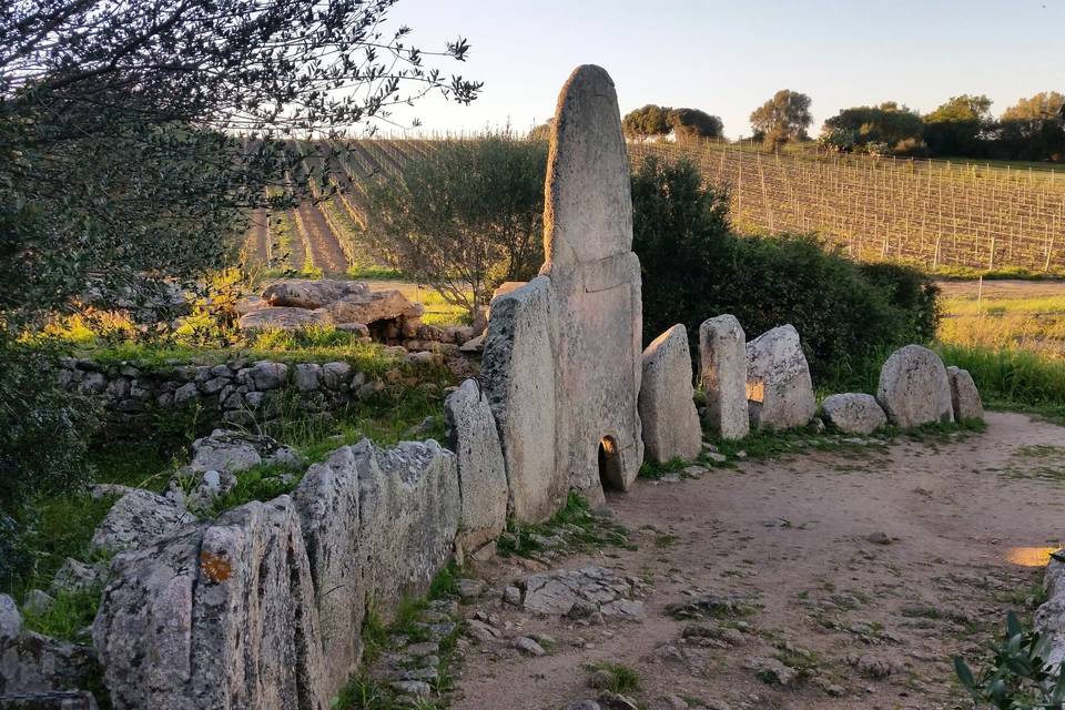 Sardinian Giants' Grave