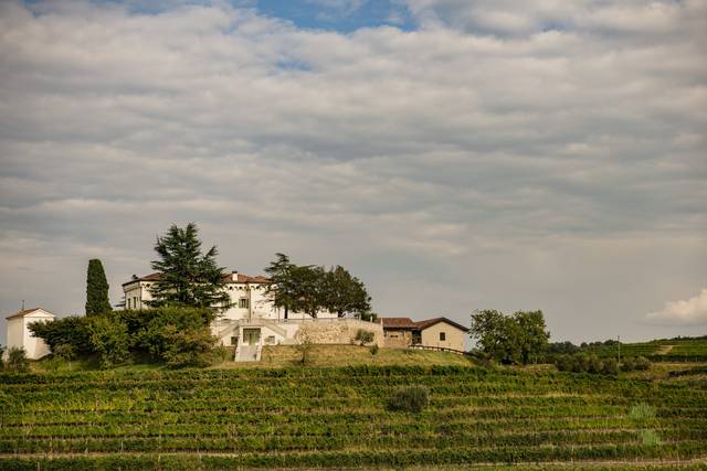Panoramica