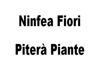 Ninfea Fiori Piterà Piante logo