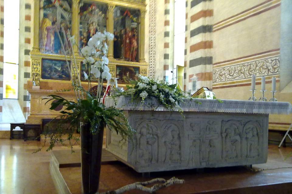 San zeno