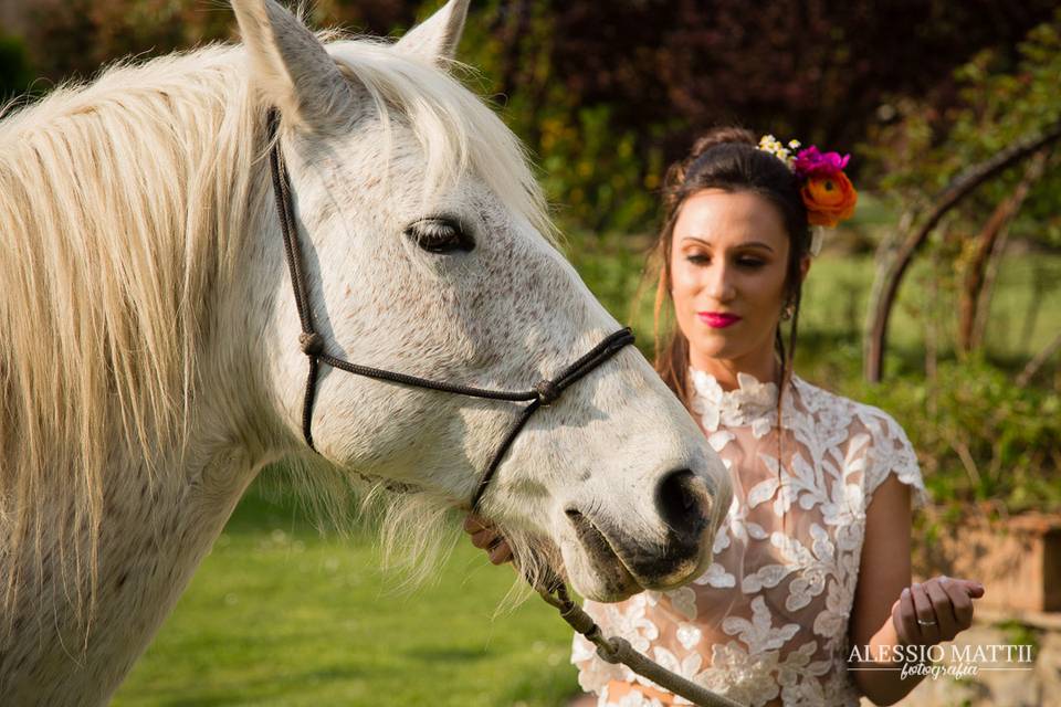 Bride and Horse