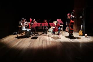 Freak Out String Quintet
