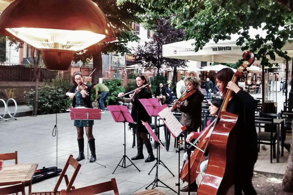 Freak Out String Quintet