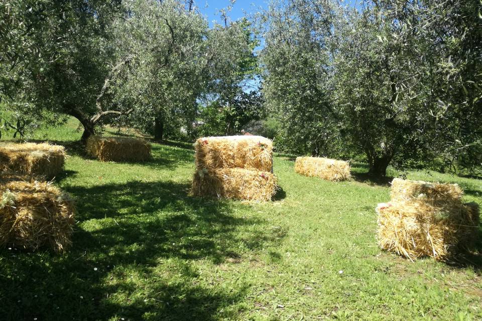 Società Agricola Campolungo