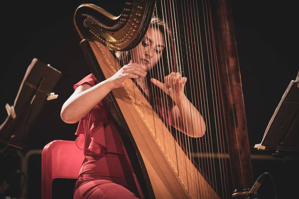 Claudia Falcone Arpista