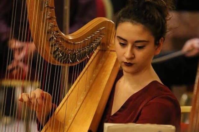 Bologna, Harp Festival