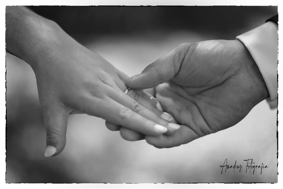 Hands