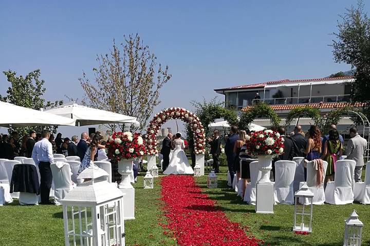 Tappeto di rose rosse