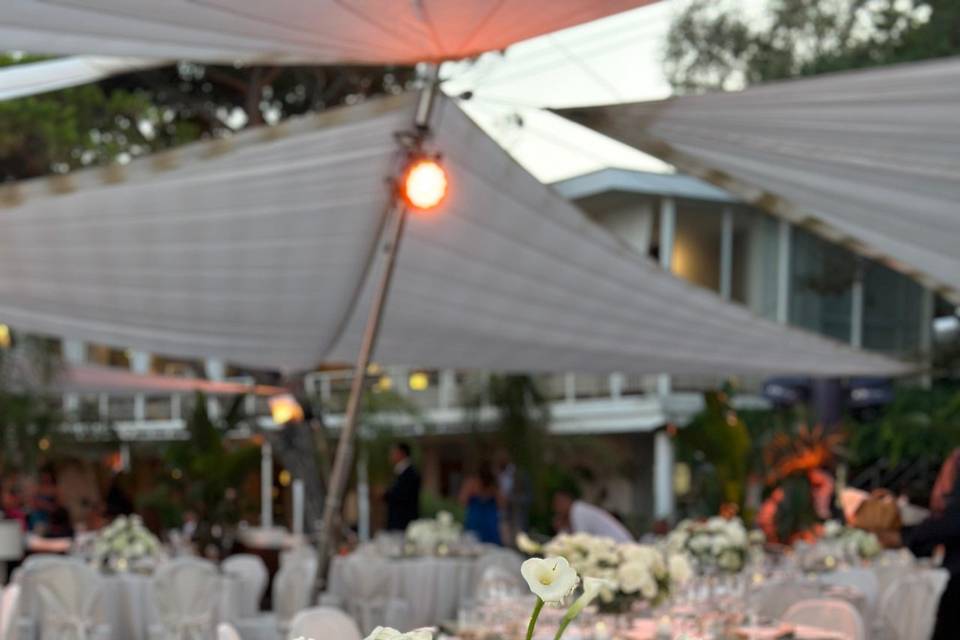 Dinner in the garden
