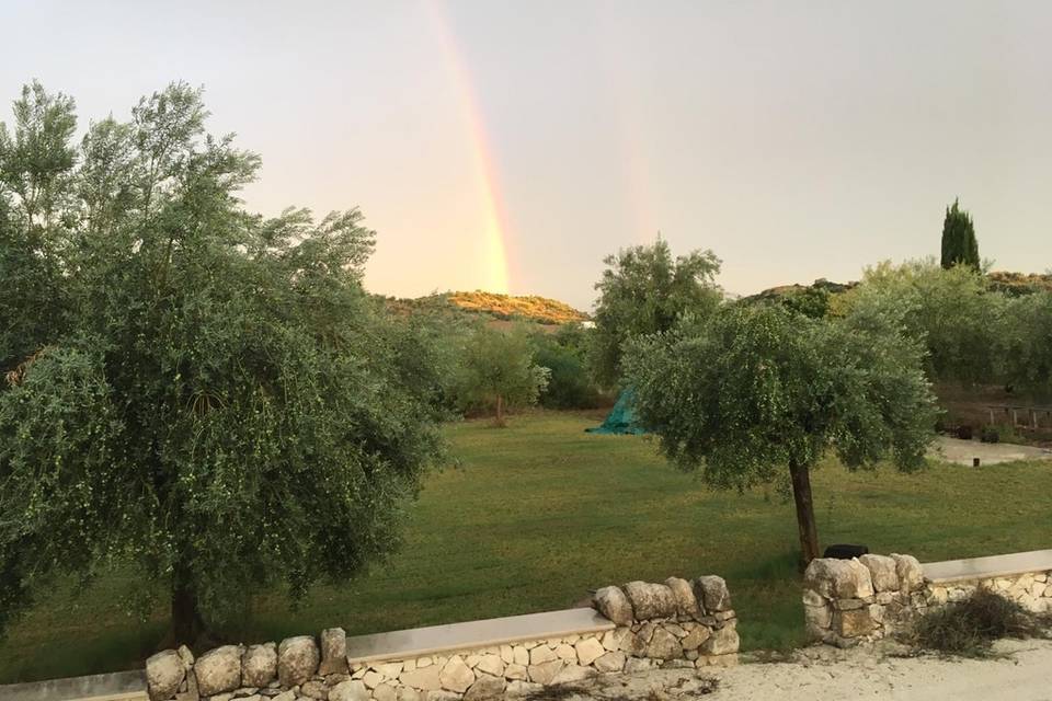 Matrimoni in Sicilia