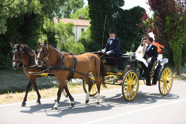 Carrozza De Rosa & Company