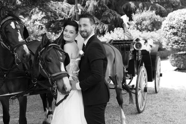 Carrozza De Rosa & Company