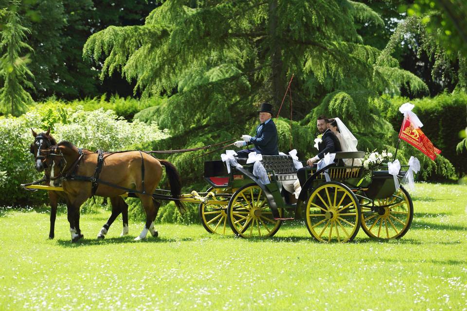 Carrozza De Rosa & Company