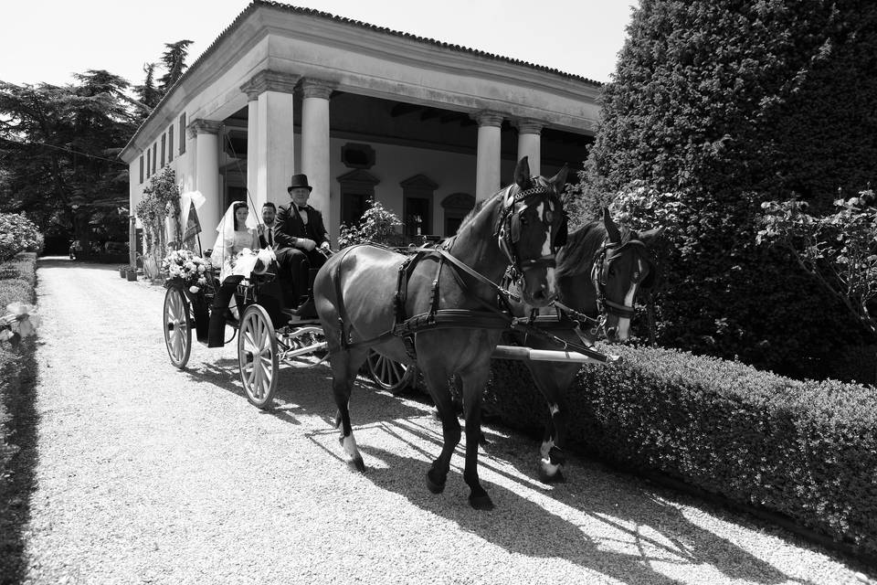 Carrozza De Rosa & Company