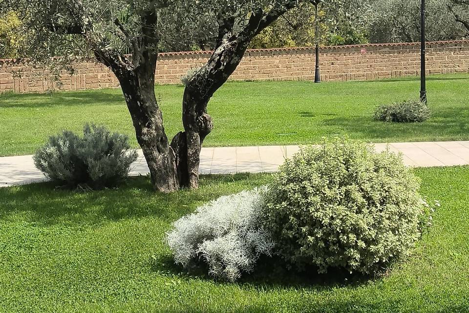 Giardino