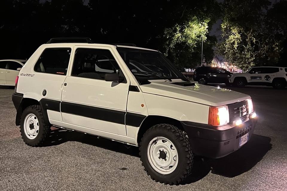 Fiat panda 4x4 trekking