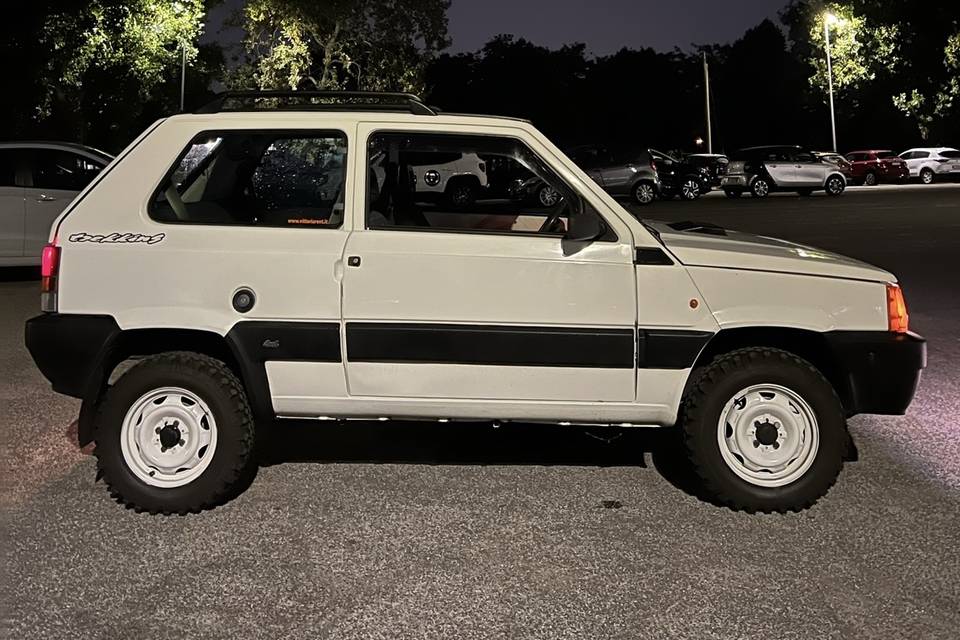 Fiat panda 4x4 trekking