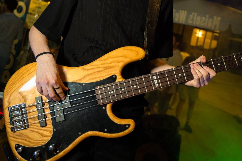Bassista