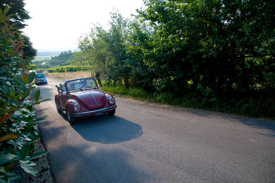 Volkswagen Maggiolone cabrio