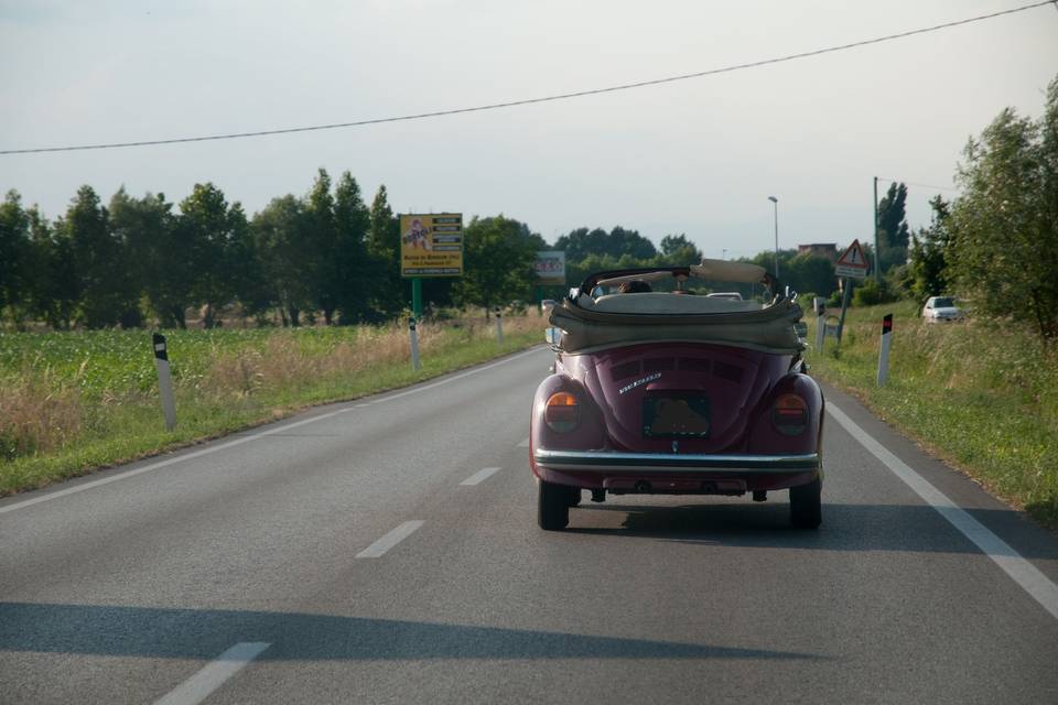 Volkswagen Maggiolone cabrio