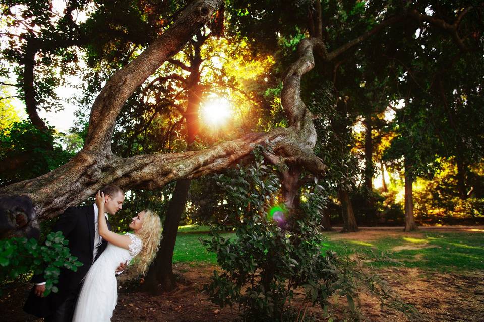 WeddingDrone fotografo