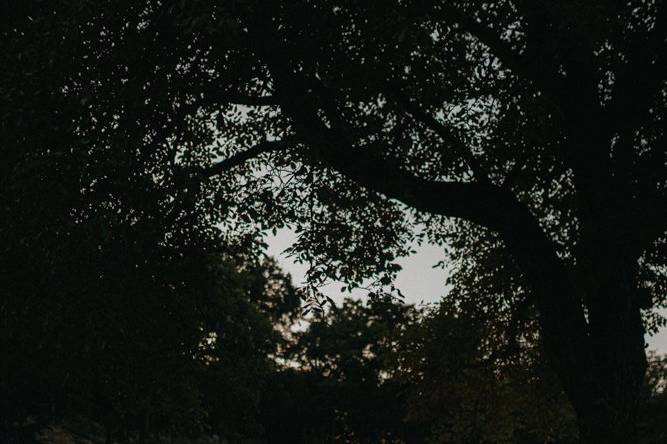 Giorgia Photography