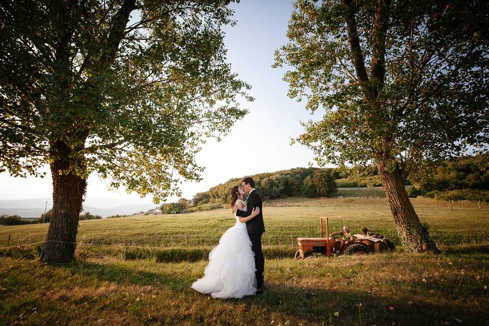 Matrimonio Dogana Veneta