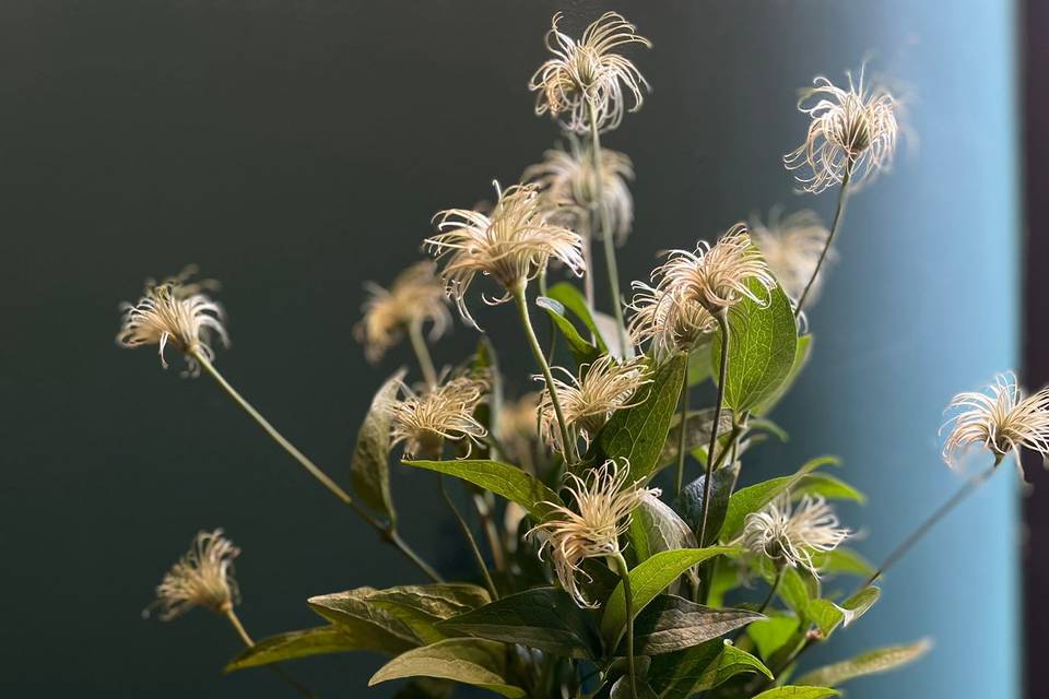 Bouquet