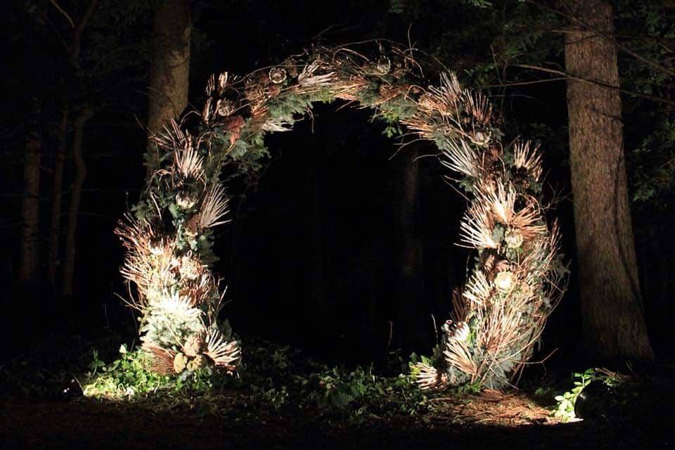 Arco nel bosco