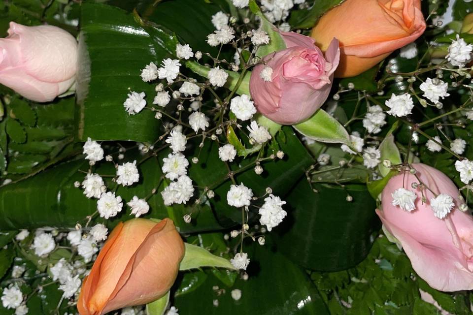 Fiori