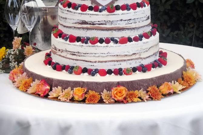 Matrimonio MG