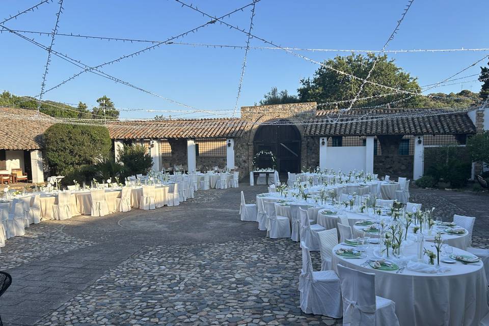 Allestimento sinusoidale