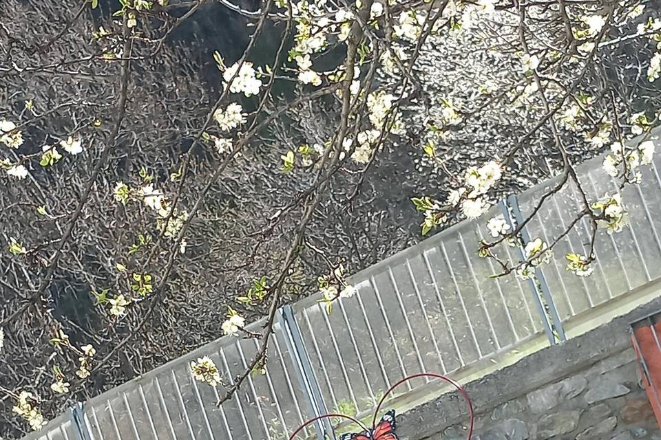 Panchina degli innamorati