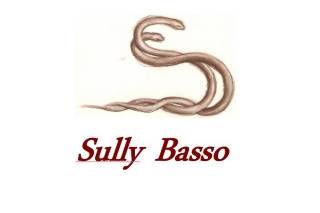 Logo Sully Basso