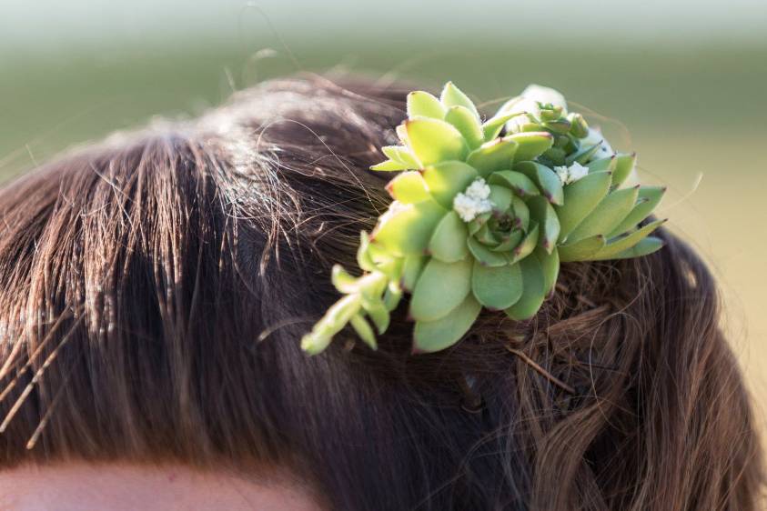 Fiorista Il Giglio