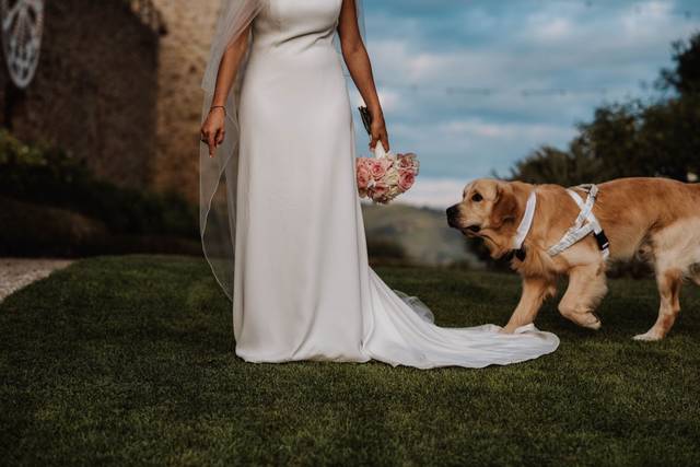Dog friendly wedding
