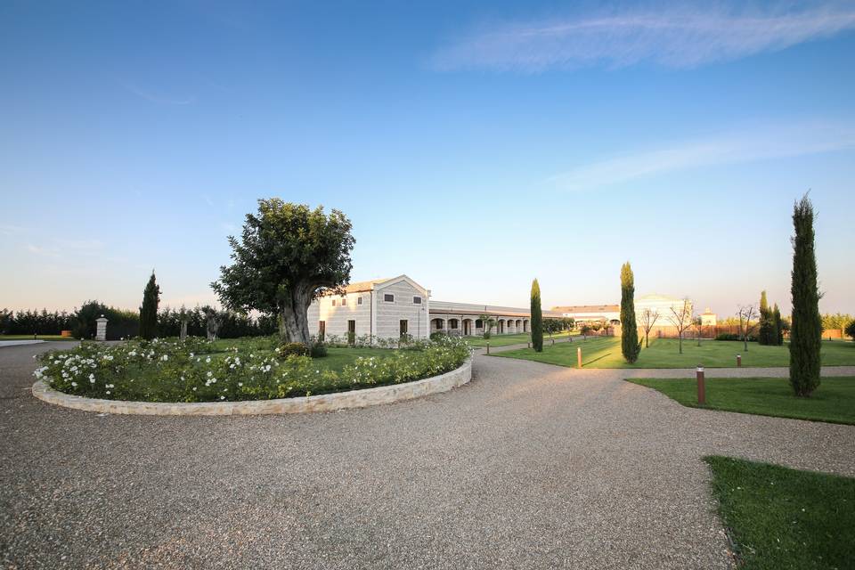 Masseria Medievale Pietrafitta