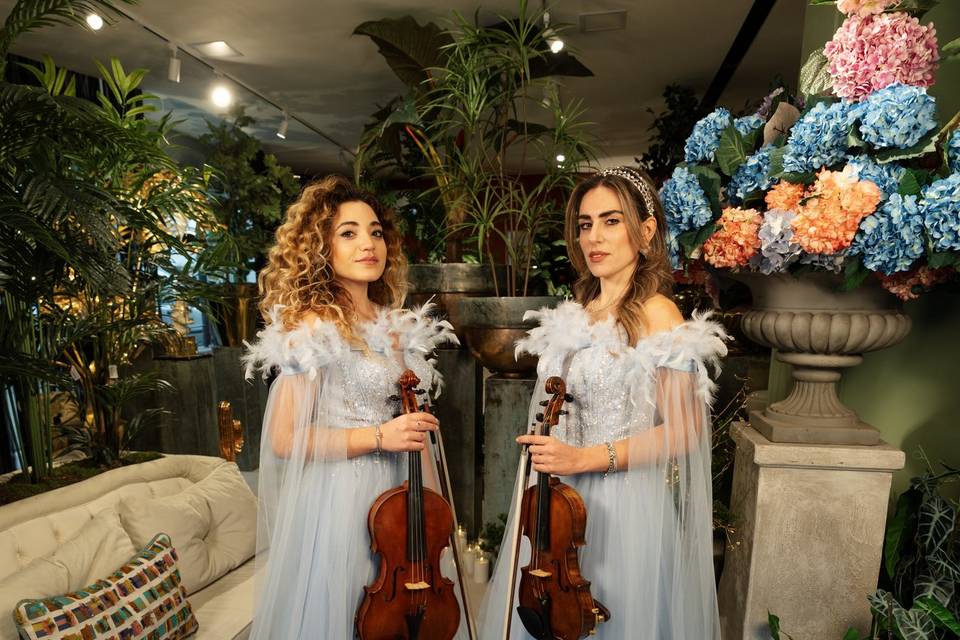 Welcome con violino e Viola