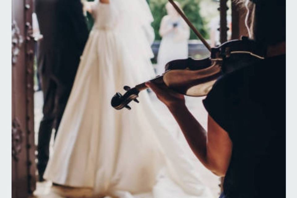 La dolcezza del violino