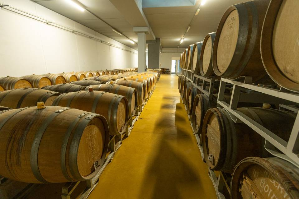Barricaia
