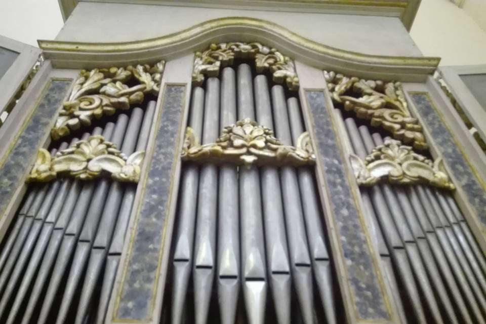 Fabio Paiano Organista