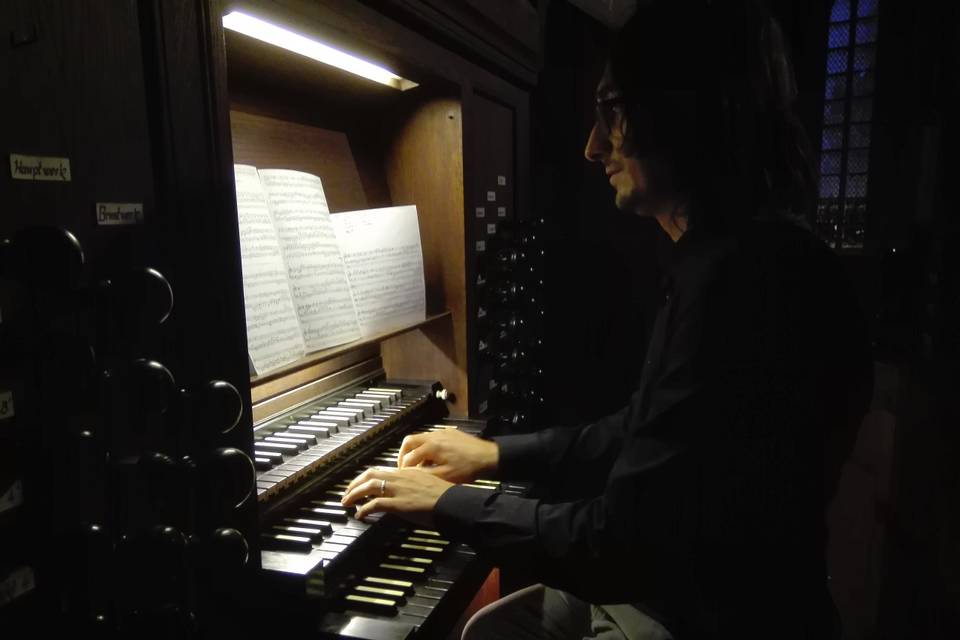 Fabio Paiano Organista