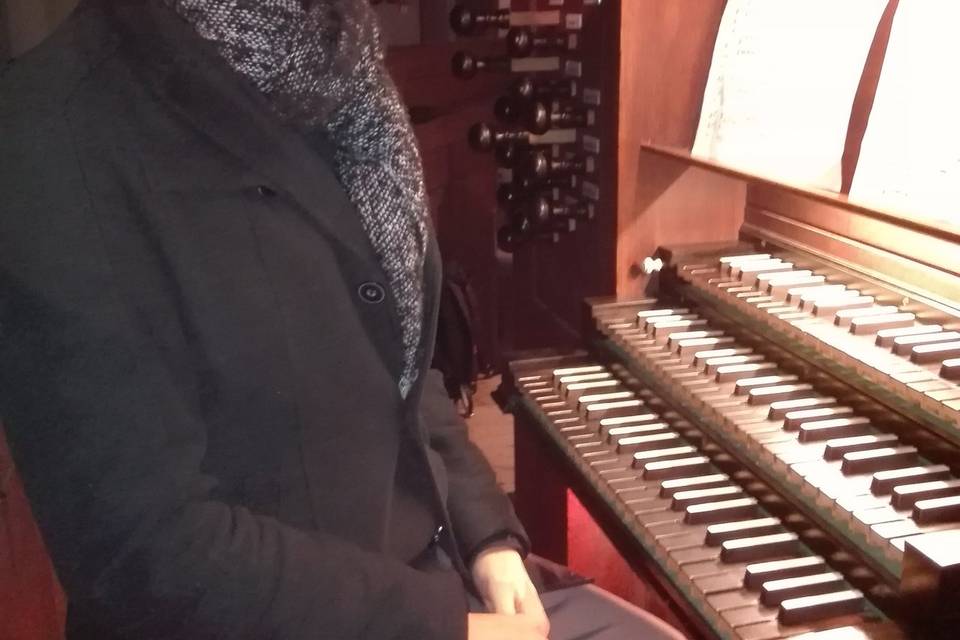 Fabio Paiano Organista