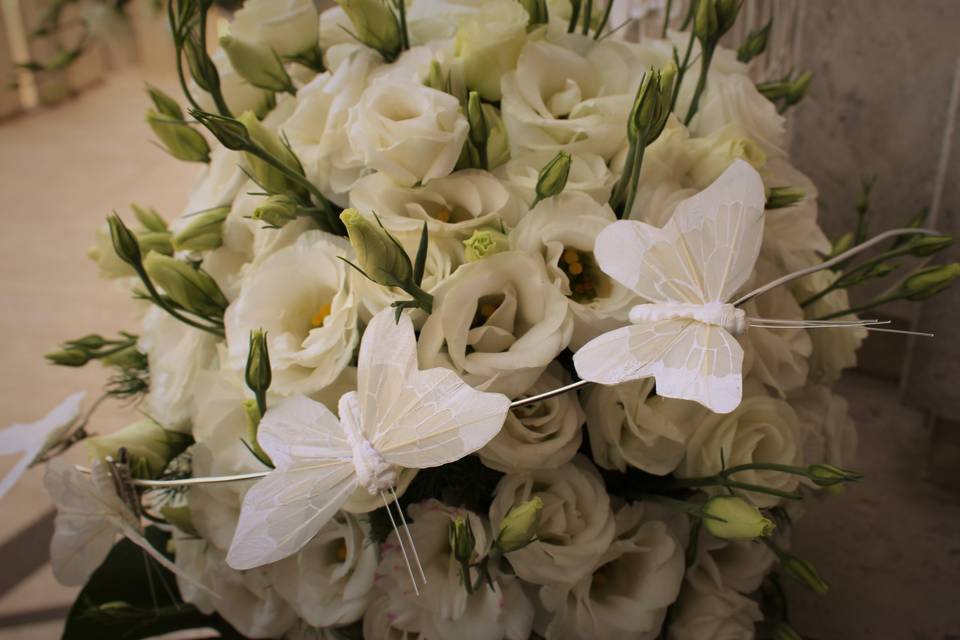 Lisianthus sfera