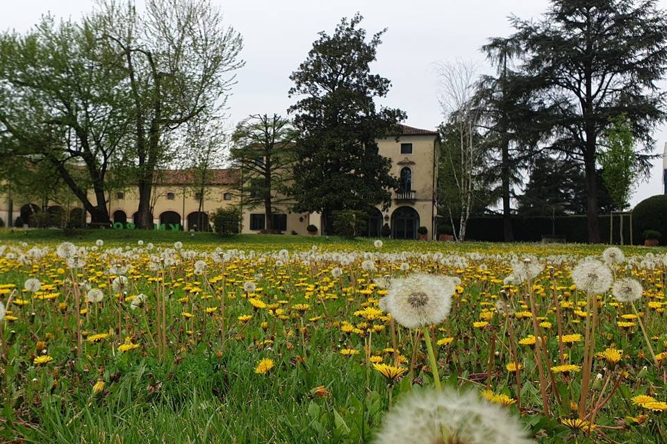 Vista dal parco