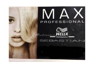 MAX professional logo