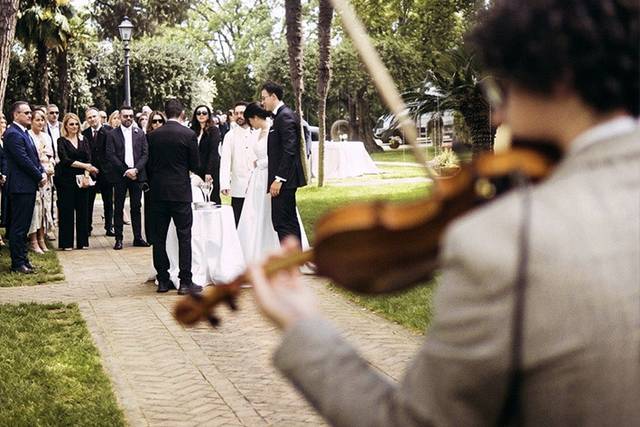 Ingresso Violino classico