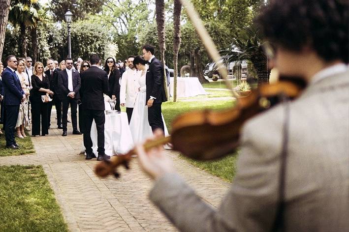 Ingresso Violino classico