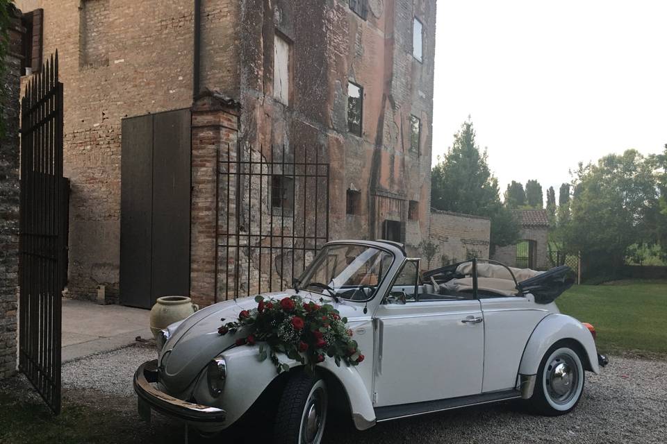 Auto Vintage & More