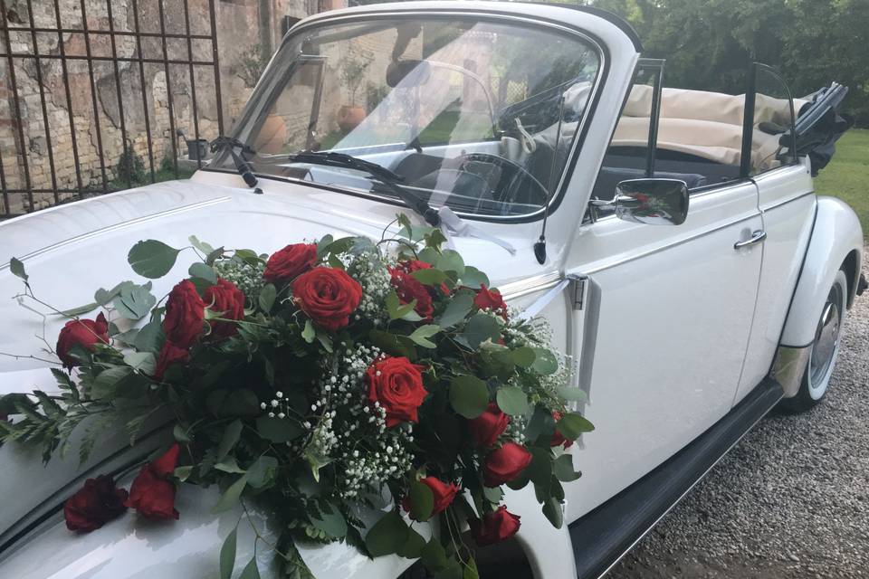 Auto Vintage & More